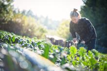 ubc farm